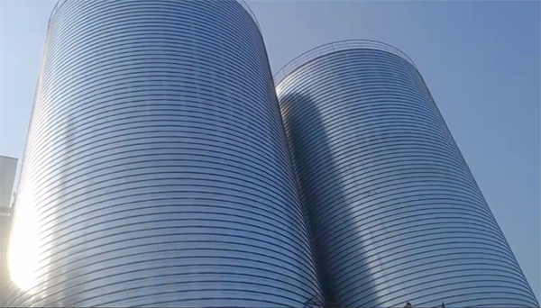 钟祥2座混凝土高架卷板仓